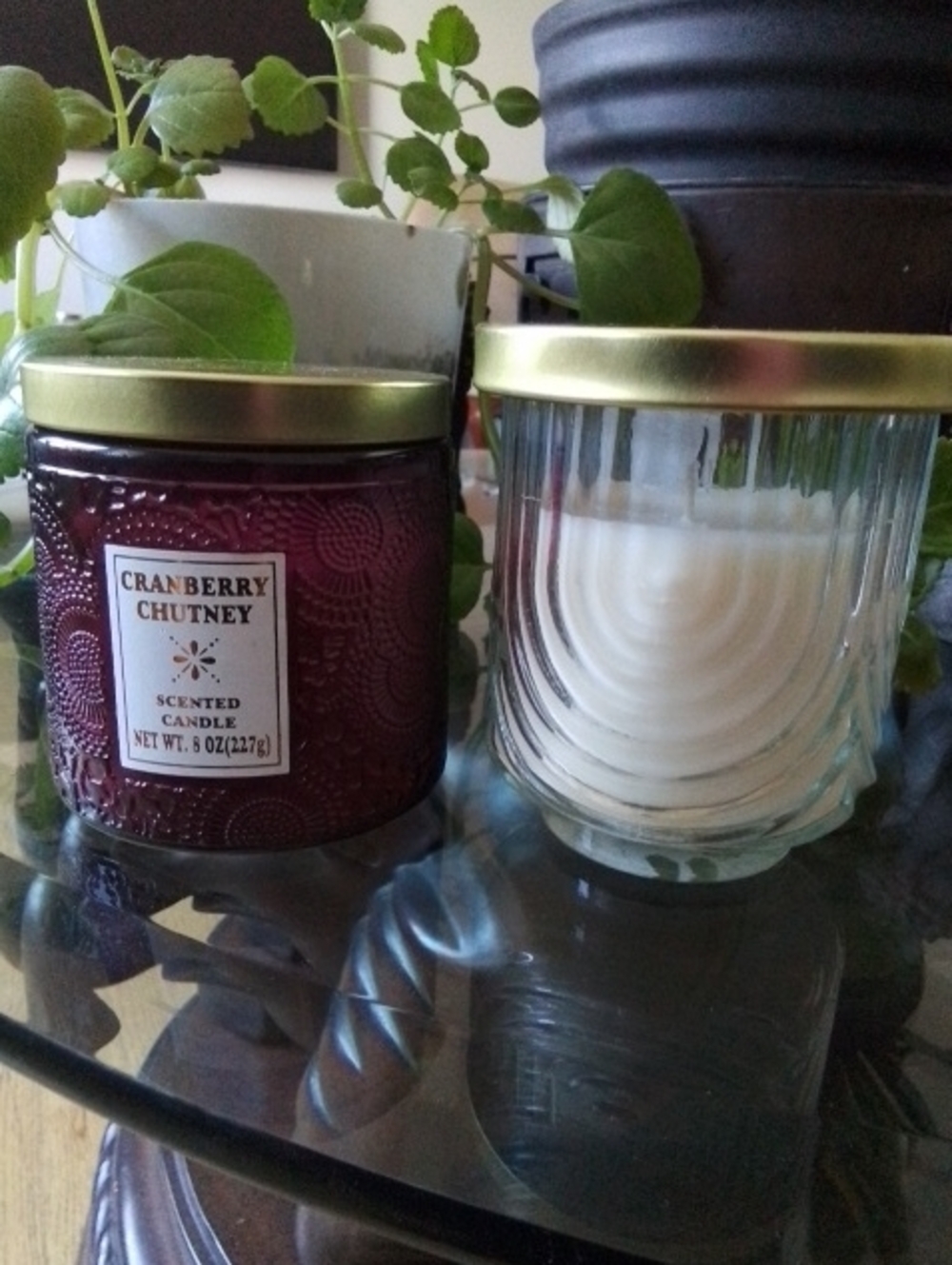 Cranberry Chutney Scented Candle - Red